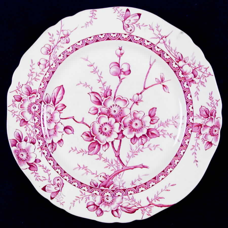 Medway Decor Pink Dinner Plate by Alfred Meakin-1