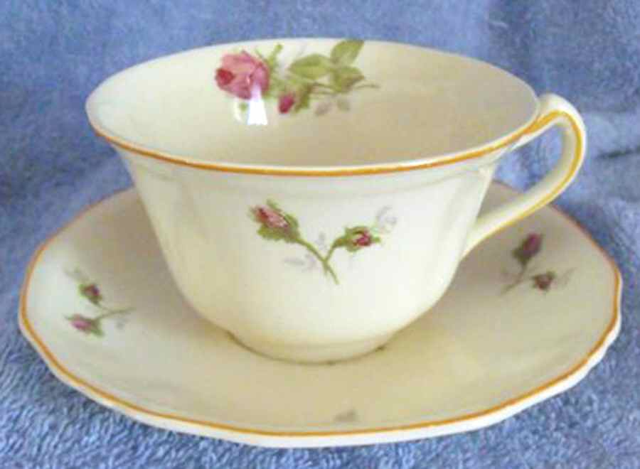 Moss Rose Flat Cup & Saucer Set by Alfred Meakin-1
