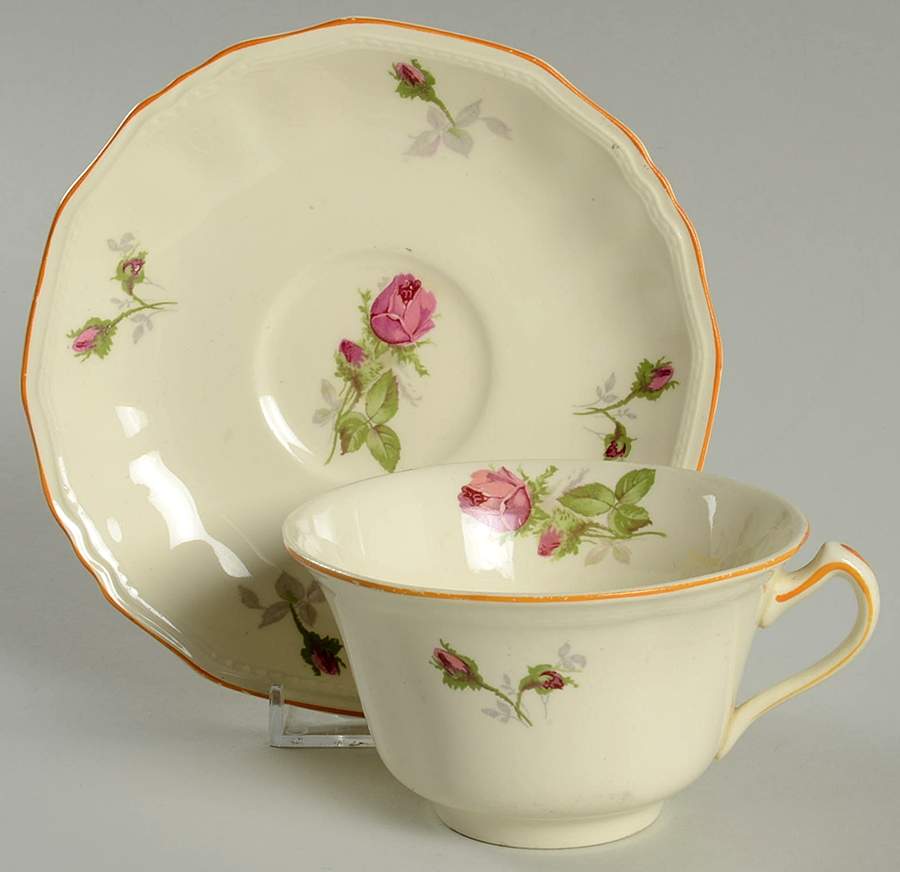 Moss Rose Flat Cup & Saucer Set by Alfred Meakin-1