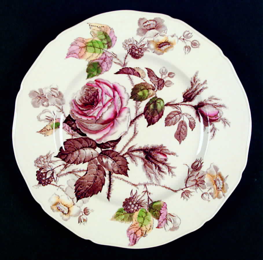 Rosalie Dinner Plate by Alfred Meakin-1