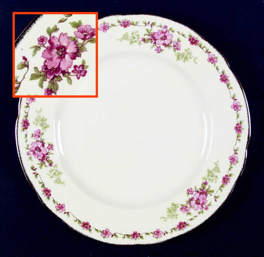 Rosecliffe Dinner Plate by Alfred Meakin-1