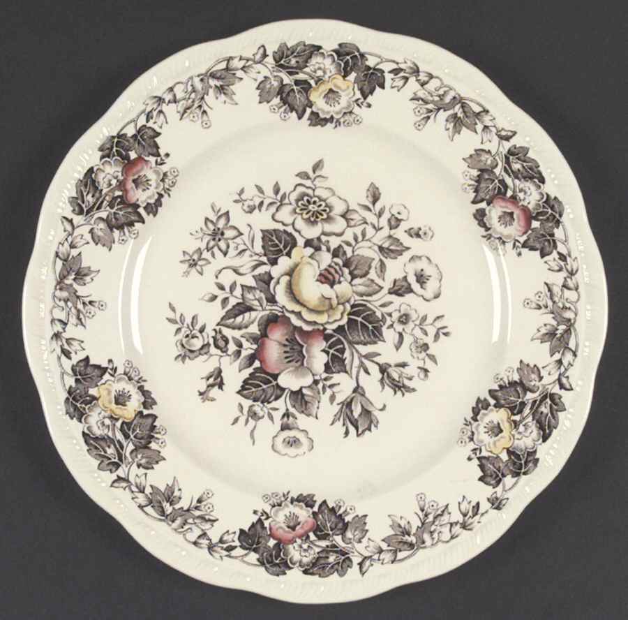 Salisbury Brown Multicolor Dinner Plate by Alfred Meakin-1