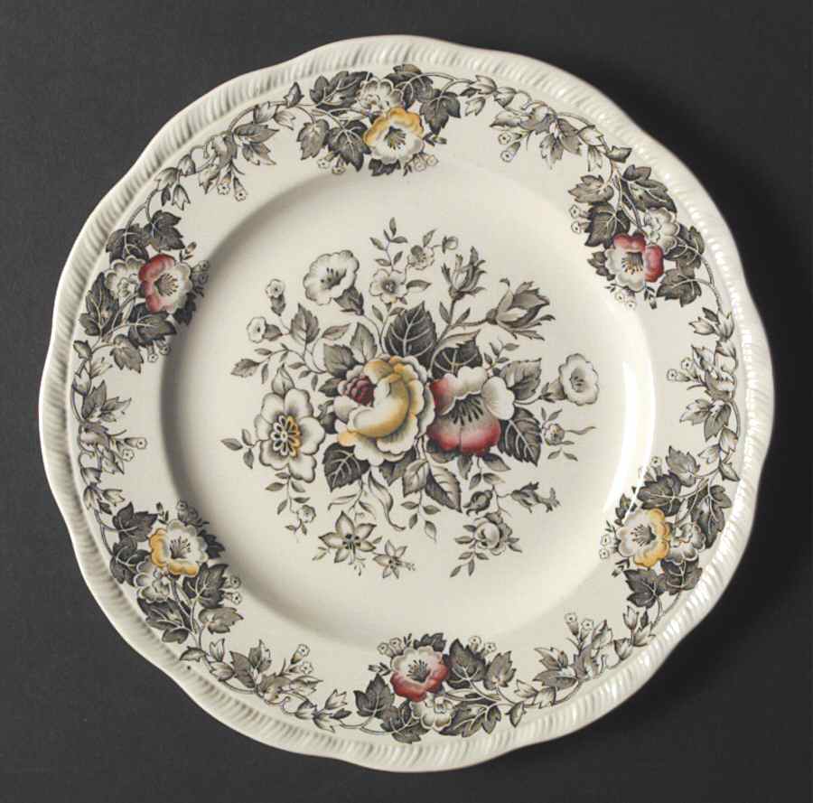 Salisbury Green Multicolor Dinner Plate by Alfred Meakin-1