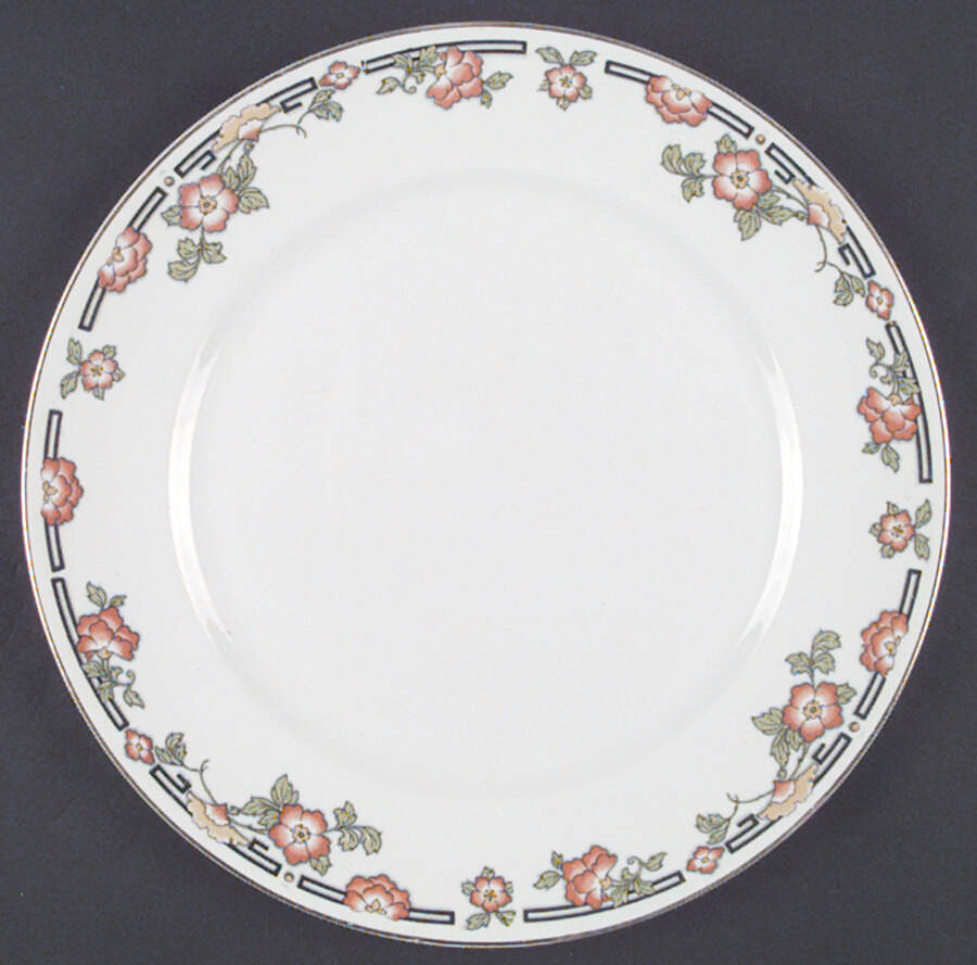 The Senate Dinner Plate by Alfred Meakin-1