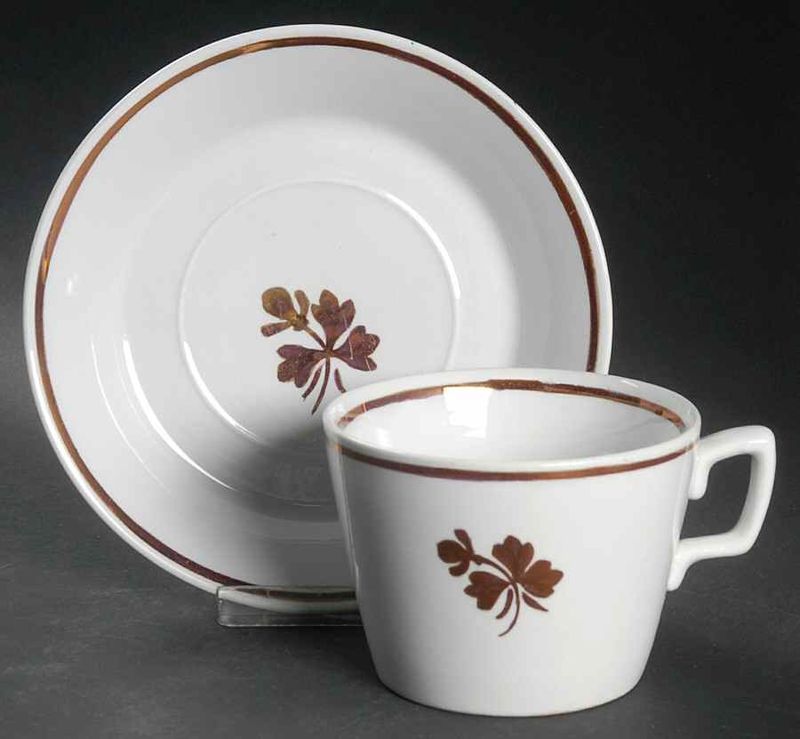 Tea Leaf Flat Cup & Saucer Set by Alfred Meakin-1