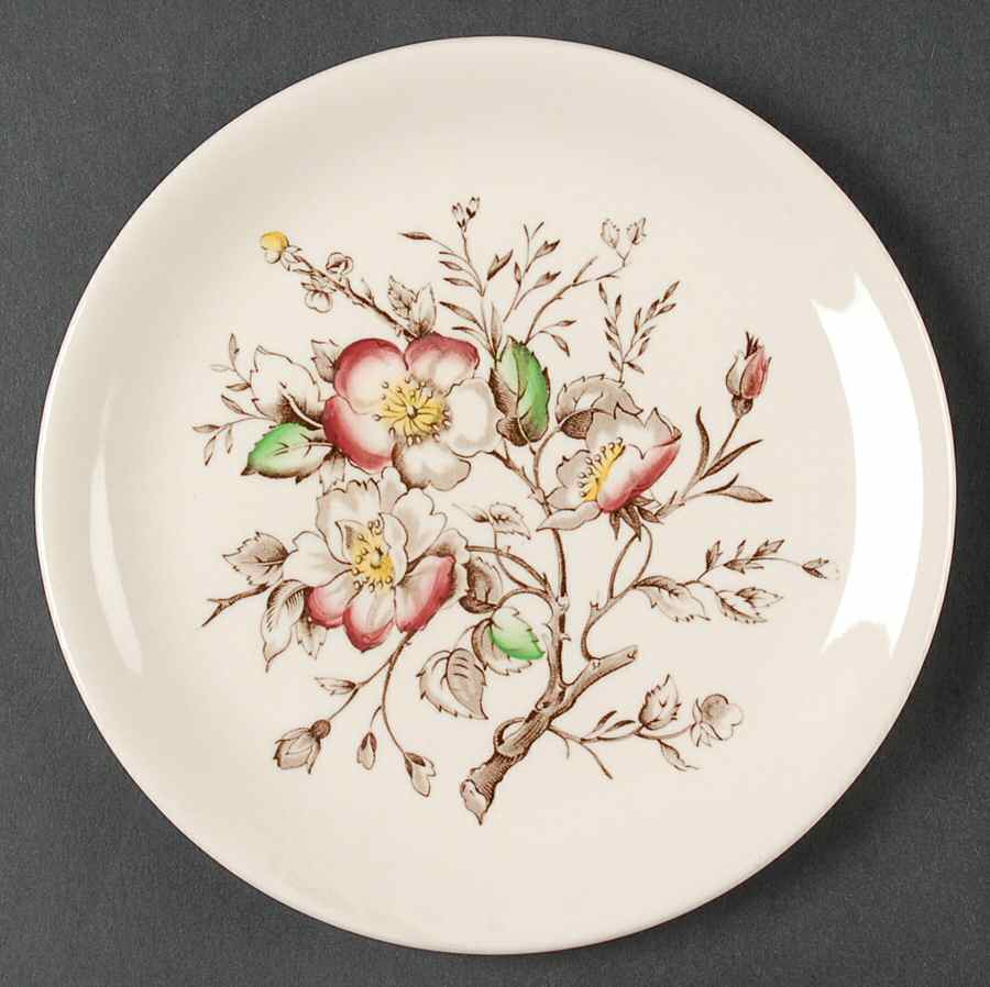 Wild Rose (Coupe) Bread & Butter Plate by Alfred Meakin-1