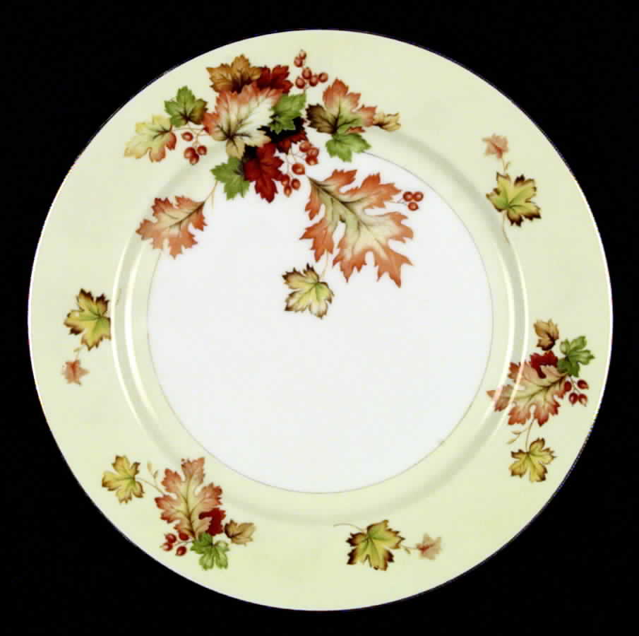 MEI117 (F & B JAPAN) Dinner Plate by Meito-1