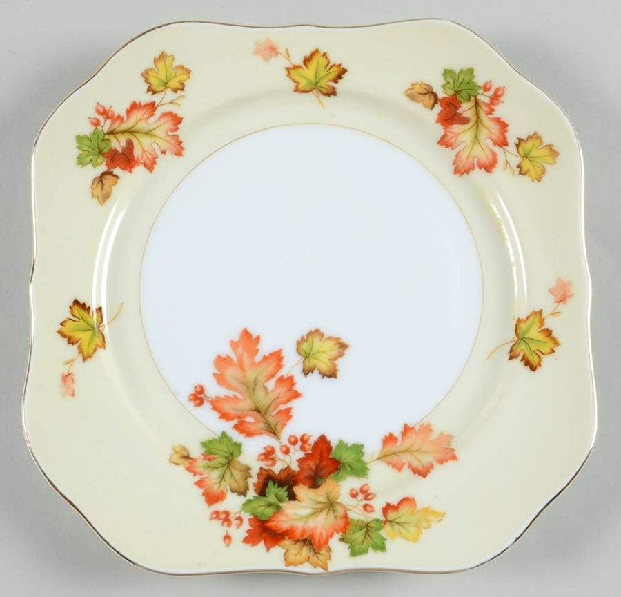 MEI117 (F & B JAPAN) Square Salad Plate by Meito-1