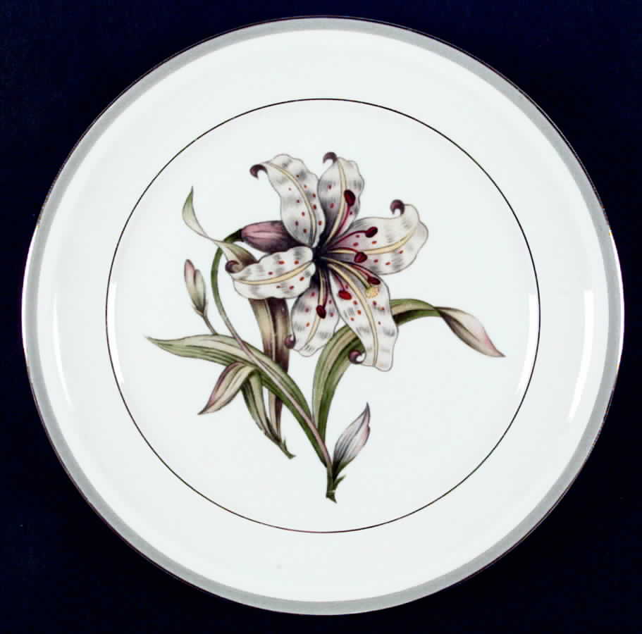 MEI153 Dinner Plate by Meito-1