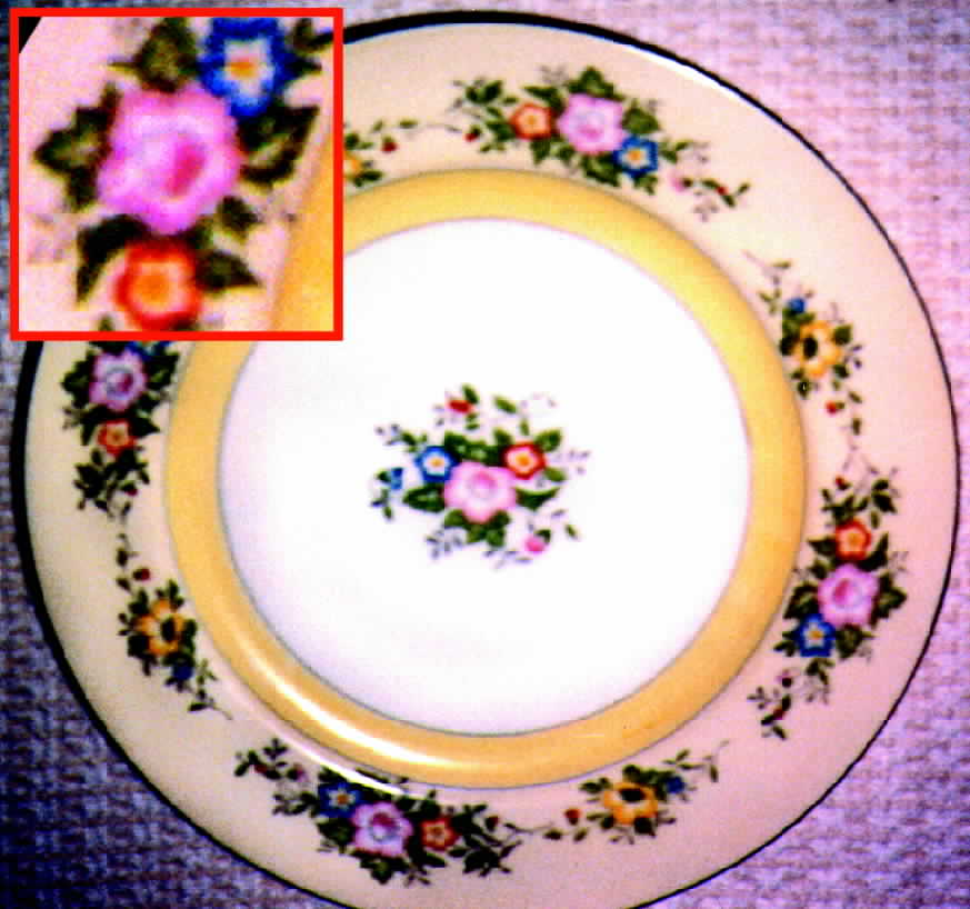 MEI181 Dinner Plate by Meito-1