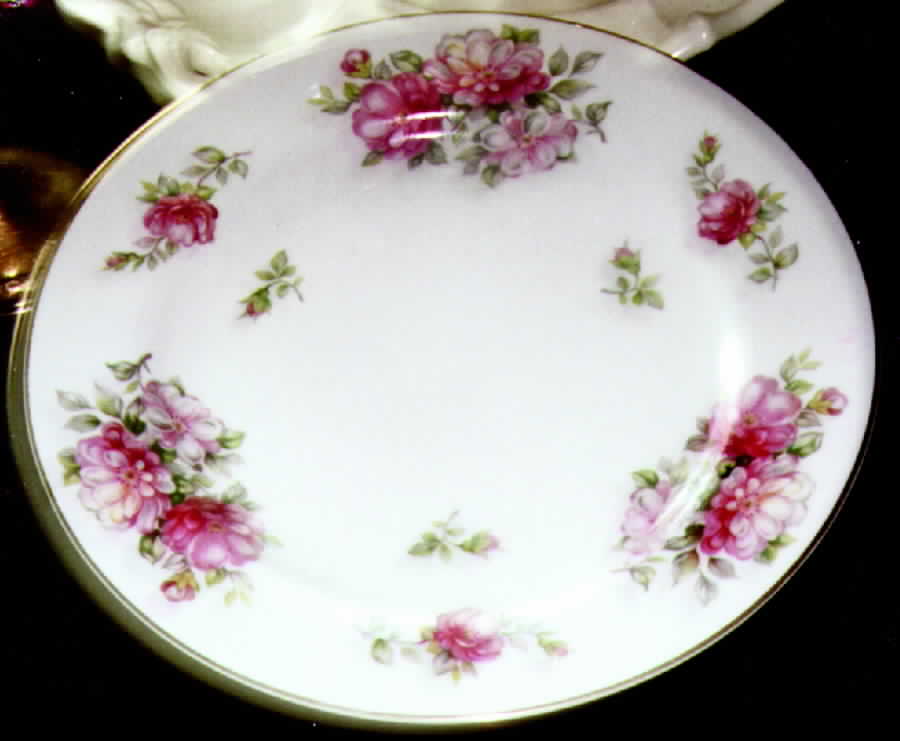 MEI293 Dinner Plate by Meito-1