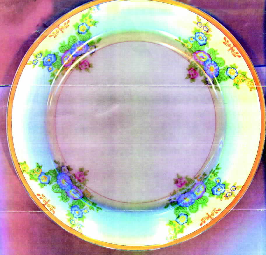 MEI357 Salad Plate by Meito-1