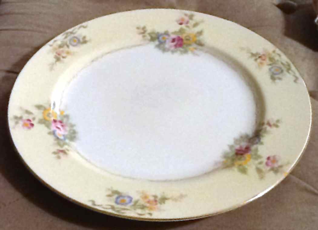 MEI419 Dinner Plate by Meito-1