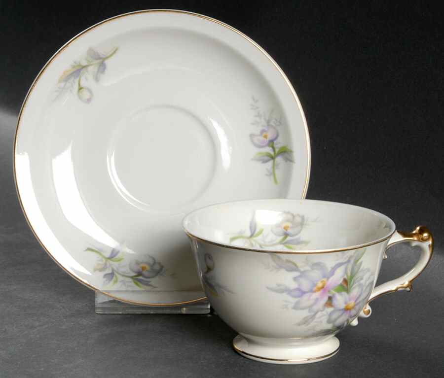 Pastelle Orleans Footed Cup & Saucer Set by Meito-1