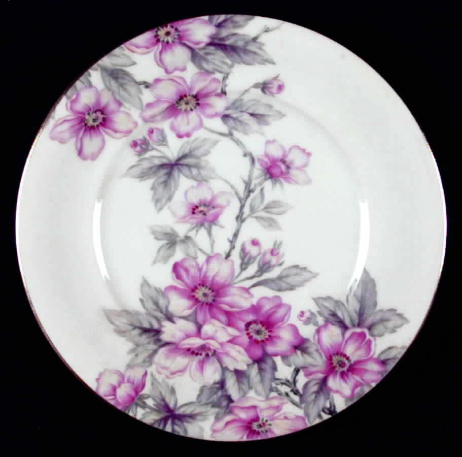 Pink Radiance  Dinner Plate by Meito-1