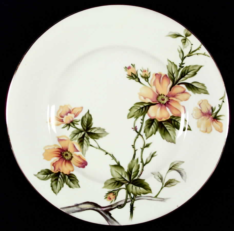Sun Glory Dinner Plate by Meito-1
