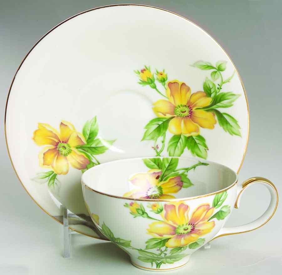 Sun Glory Flat Cup & Saucer Set by Meito-1