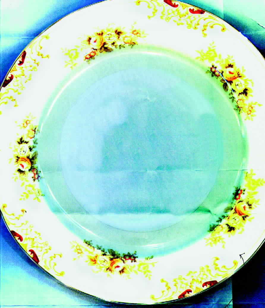 V1740 Dinner Plate by Meito-1