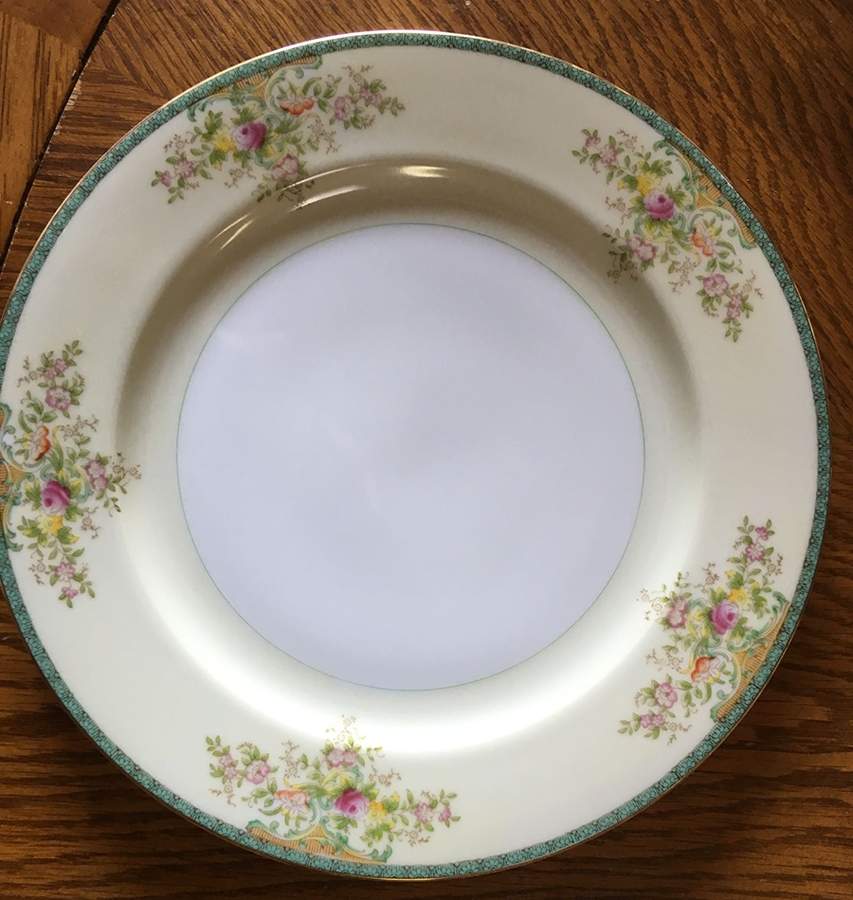 V2104 Dinner Plate by Meito-1