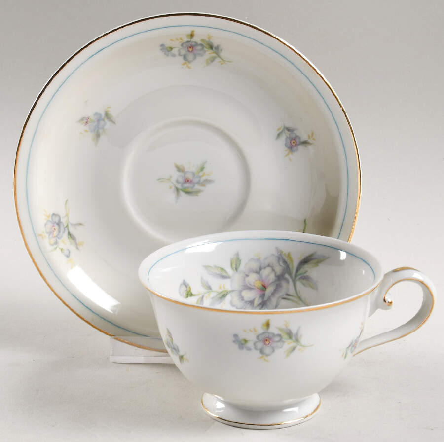 Virginia (Floral Center) Footed Cup & Saucer Set by Meito-1