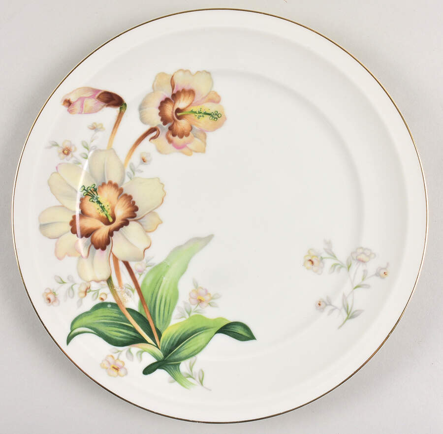 Wildwood (1-2" Rim, Ivory) Dinner Plate by Meito-1