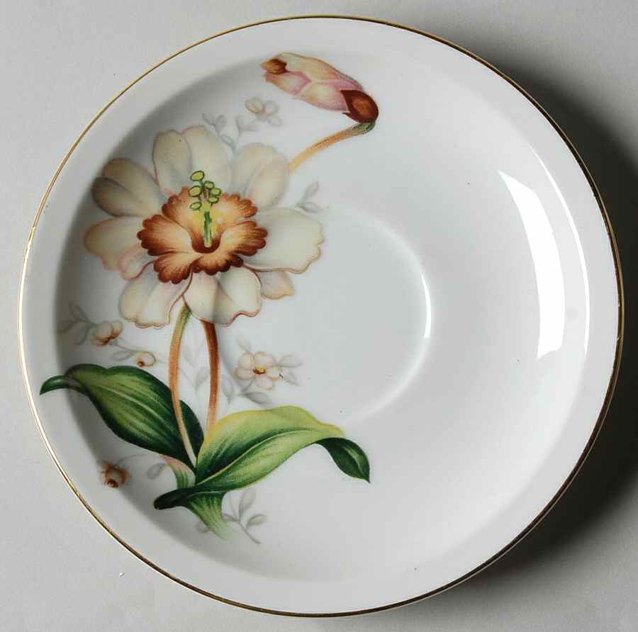 Wildwood (1-2" Rim, Ivory) Saucer by Meito-1
