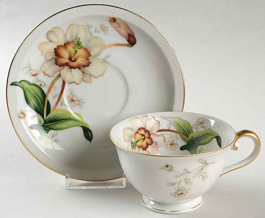 Wildwood (1-2" Rim, Ivory) Footed Cup & Saucer Set by Meito-1