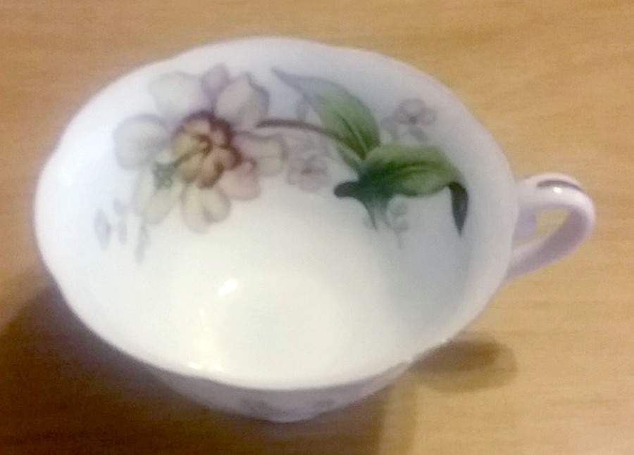 Wildwood (1-2" Rim, Ivory) Snack Cup by Meito-1