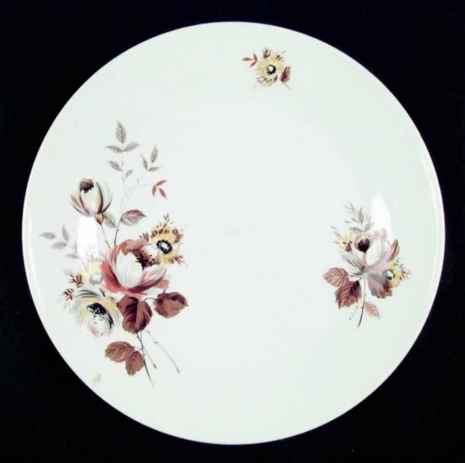 Ascot Dinner Plate by J & G Meakin-1