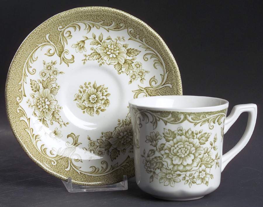 Avondale Green Flat Cup & Saucer Set by J & G Meakin-1