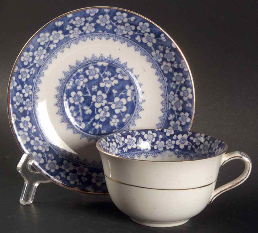 Bangor Flat Cup & Saucer Set by J & G Meakin-1