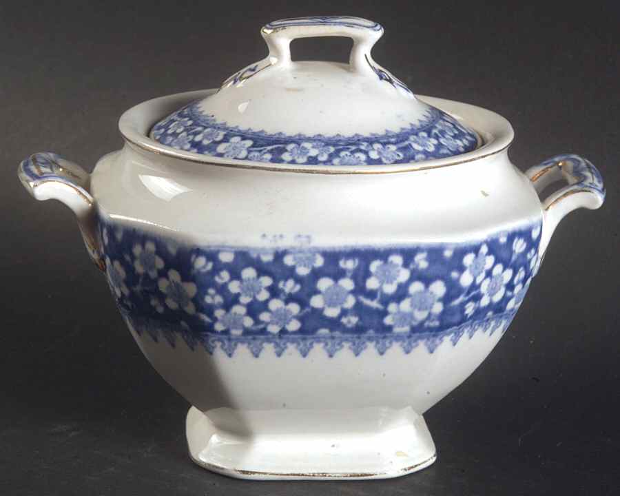 Bangor Sugar Bowl & Lid by J & G Meakin-1