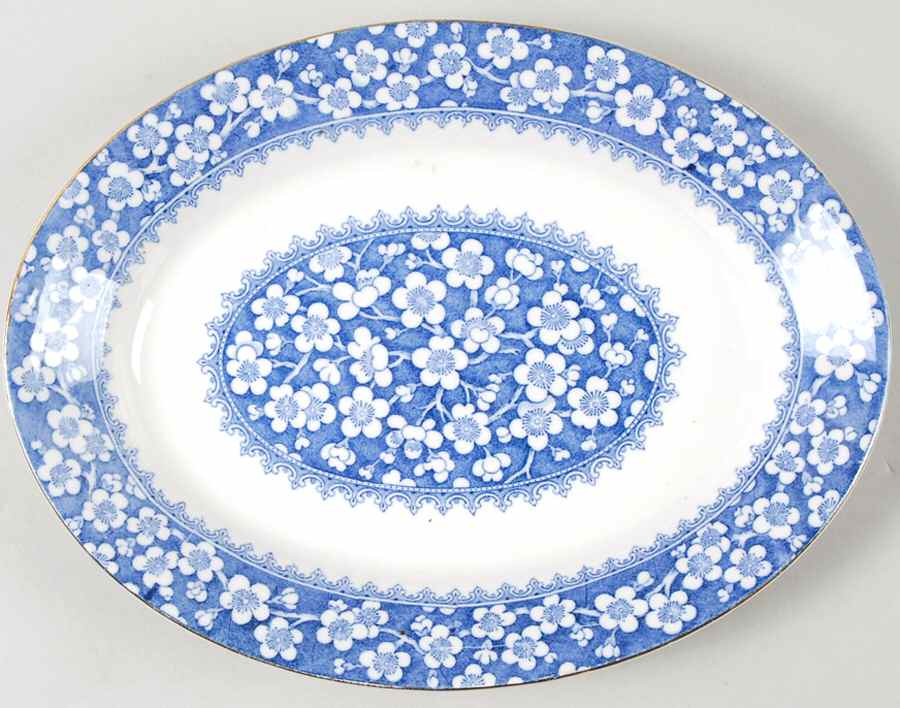 Bangor 10" Oval Serving Platter by J & G Meakin-1