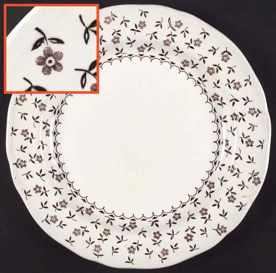 Blossom Time Brown Dinner Plate by J & G Meakin-1
