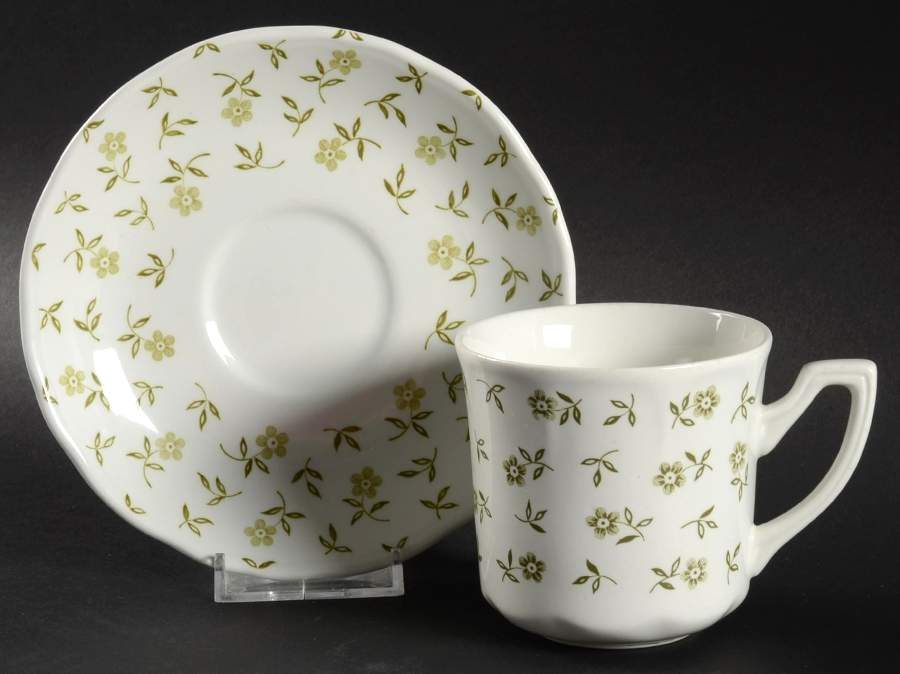Blossom Time Green Flat Cup & Saucer Set by J & G Meakin-1