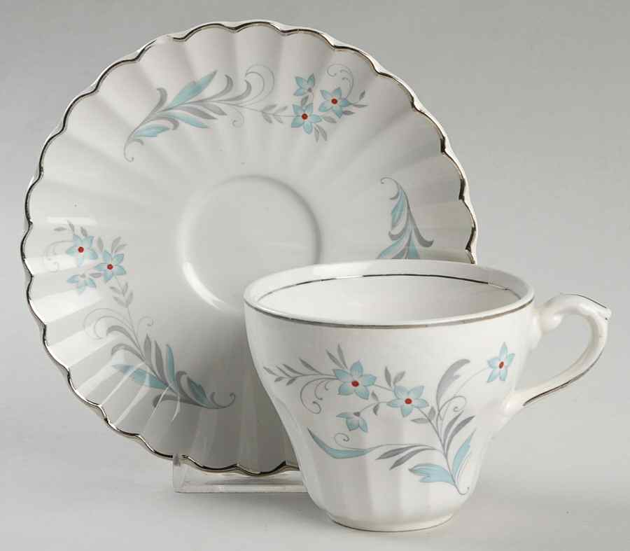 Burlington Flat Cup & Saucer Set by J & G Meakin-1