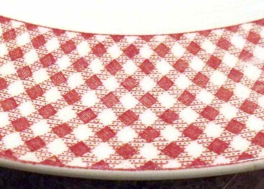 Check Dinner Plate by J & G Meakin-1