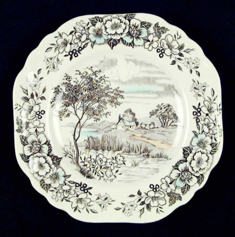 Country Life Salad Plate by J & G Meakin-1