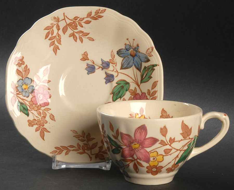 Cotswold Flat Cup & Saucer Set by J & G Meakin-1