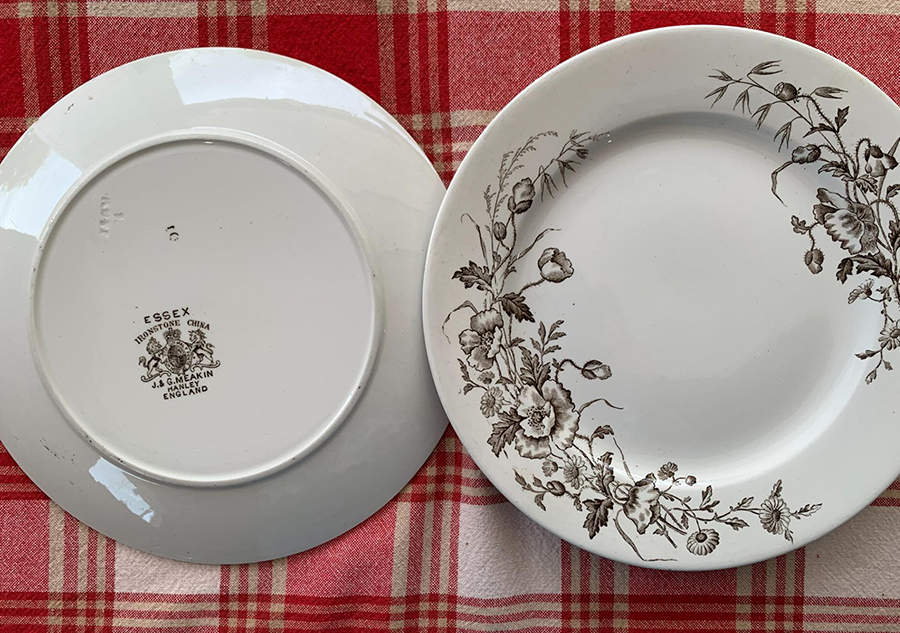 Essex Dinner Plate by J & G Meakin-1
