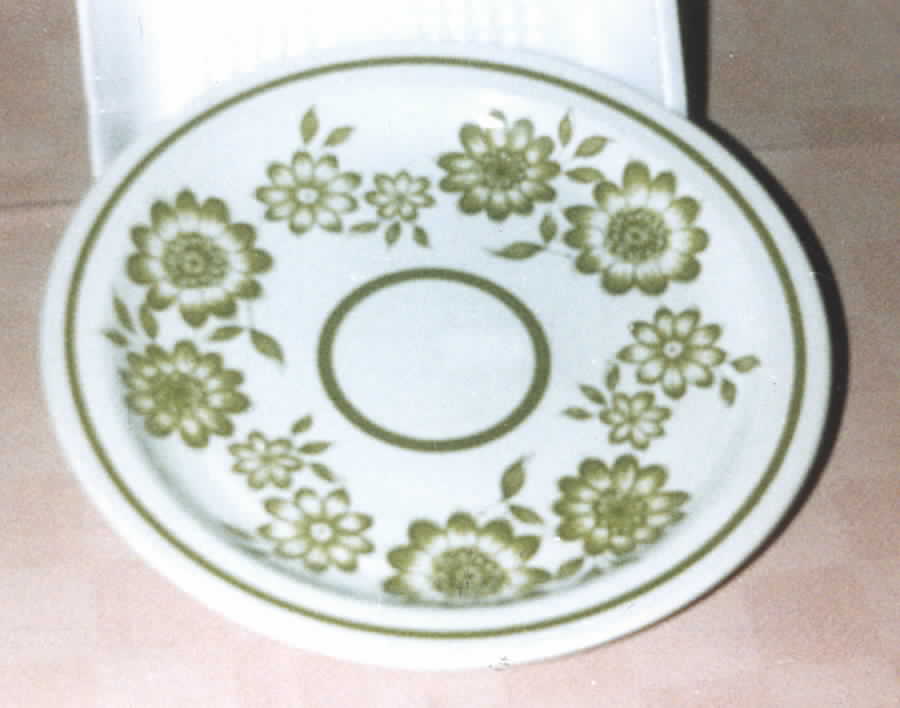 Floral Dance Dinner Plate by J & G Meakin-1