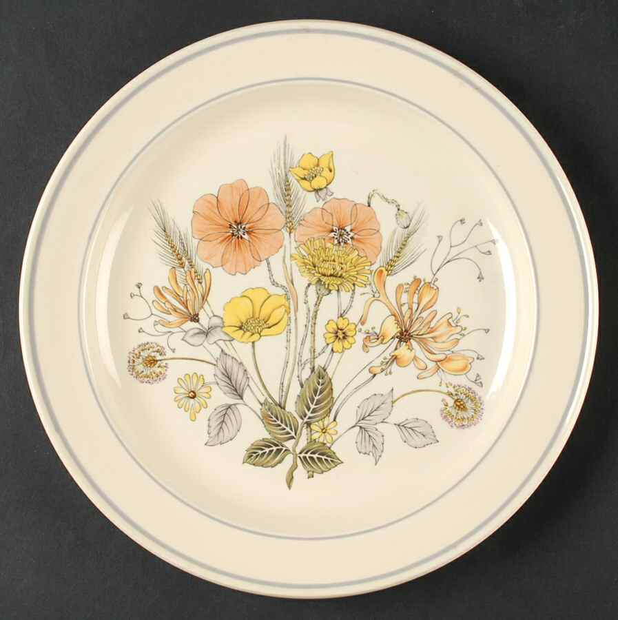 Hedgerow Dinner Plate by J & G Meakin-1