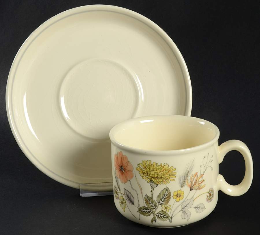 Hedgerow Flat Cup & Saucer Set by J & G Meakin-1