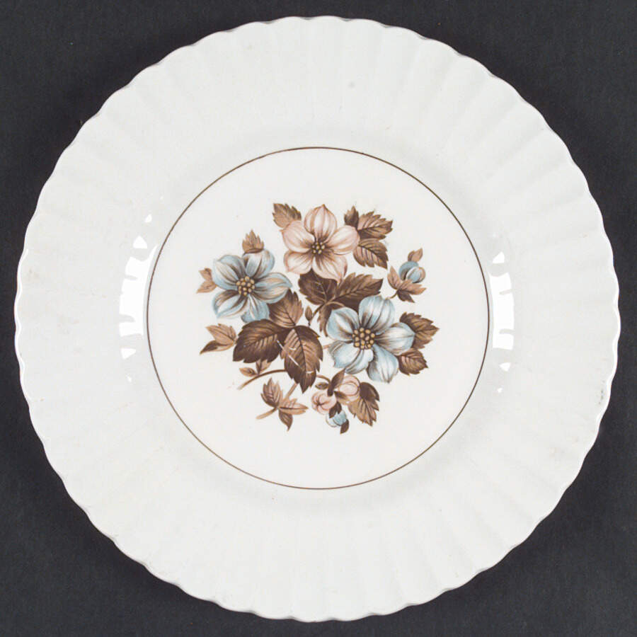 Heirloom Dinner Plate by J & G Meakin-1