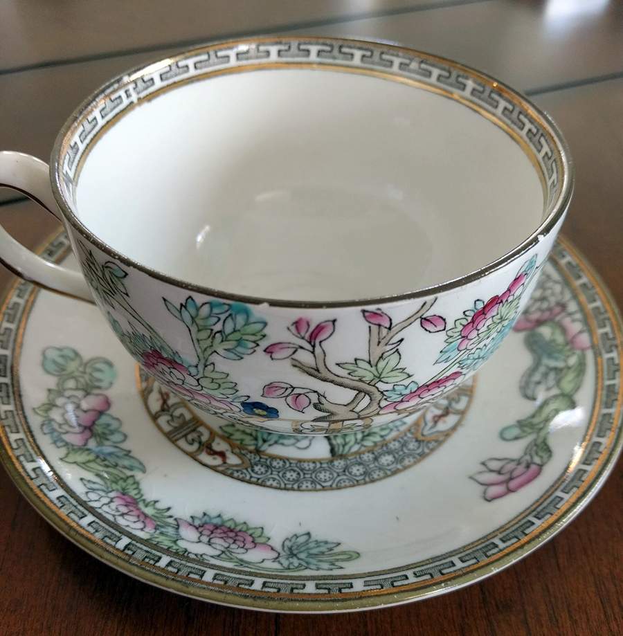 Indian Tree (Smooth Edge, Multi) Flat Cup & Saucer Set by J & G Meakin-1