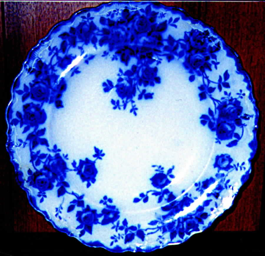 Leon (Flow Blue) Dinner Plate by J & G Meakin-1
