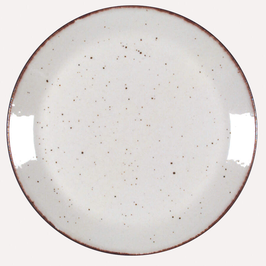Lifestyle Dinner Plate by J & G Meakin-1