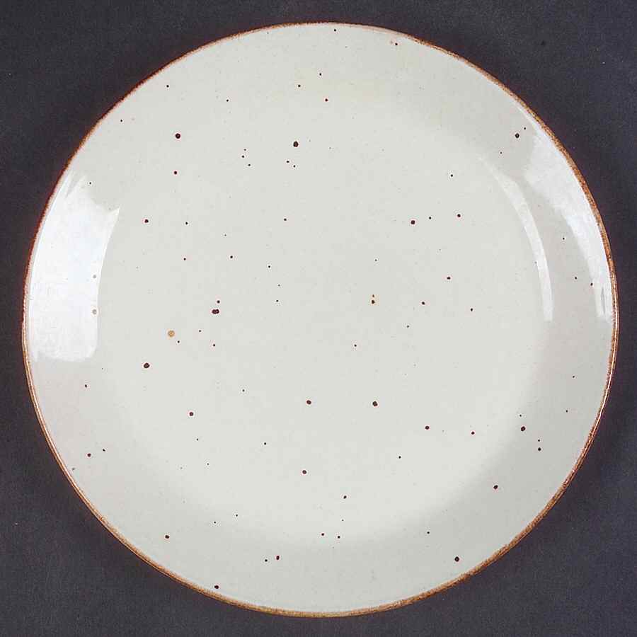 Lifestyle Salad Plate by J & G Meakin-1
