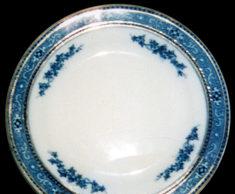 Madison Dinner Plate by J & G Meakin-1