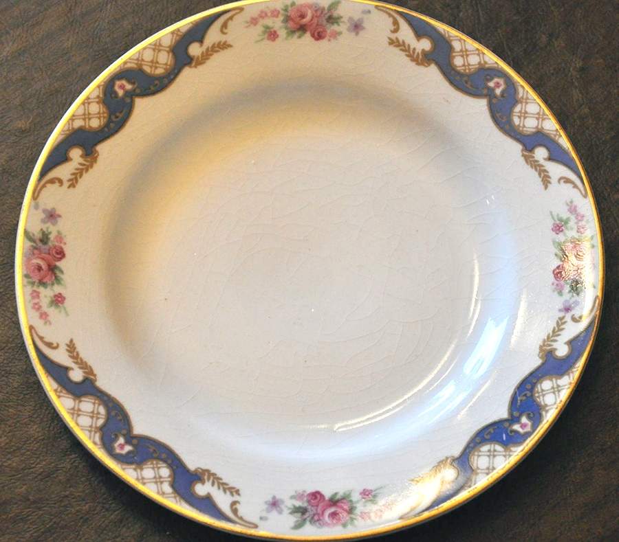 MEK11 Dinner Plate by J & G Meakin-1